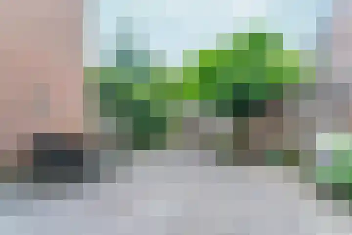 Arnemuidenhoek 40 Arnhem thumbnail 37