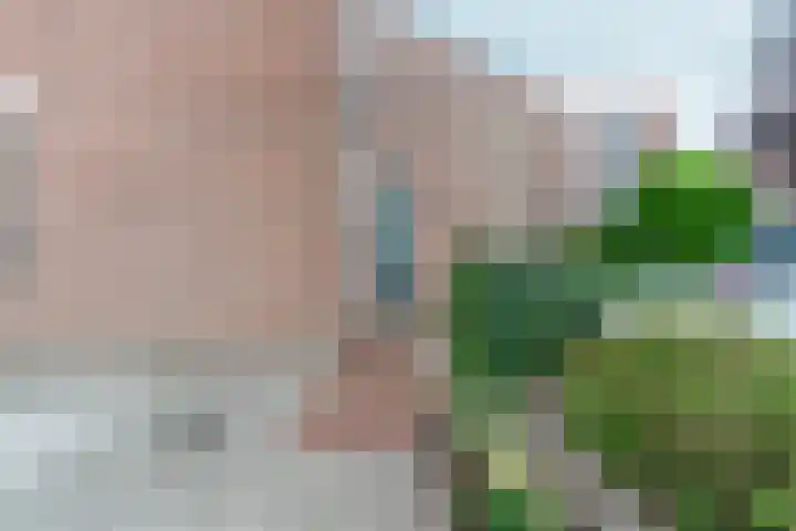Arnemuidenhoek 40 Arnhem thumbnail 39