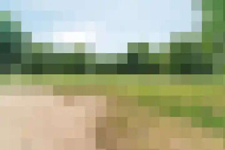 Arnemuidenhoek 40 Arnhem thumbnail 42