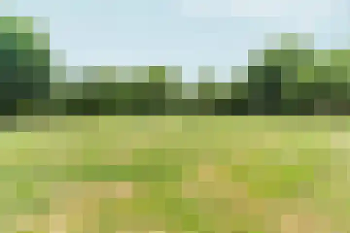 Arnemuidenhoek 40 Arnhem thumbnail 43