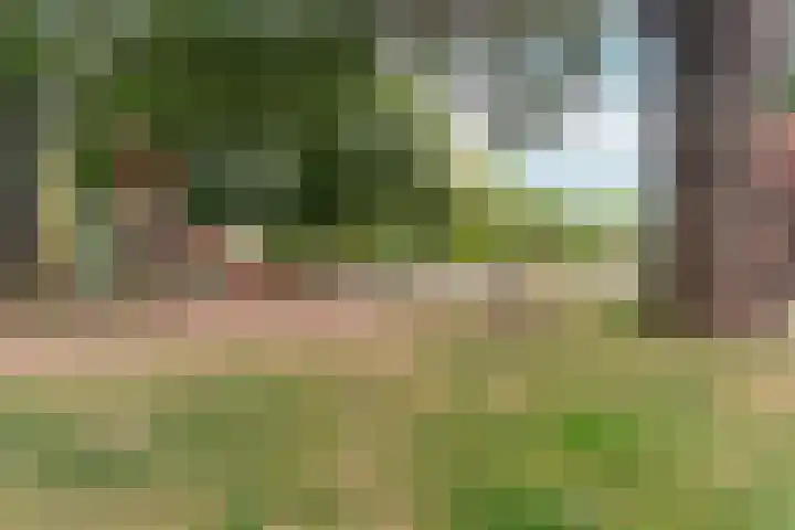Arnemuidenhoek 40 Arnhem thumbnail 45
