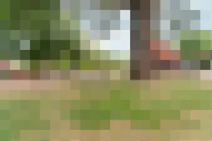 Arnemuidenhoek 40 Arnhem thumbnail 46