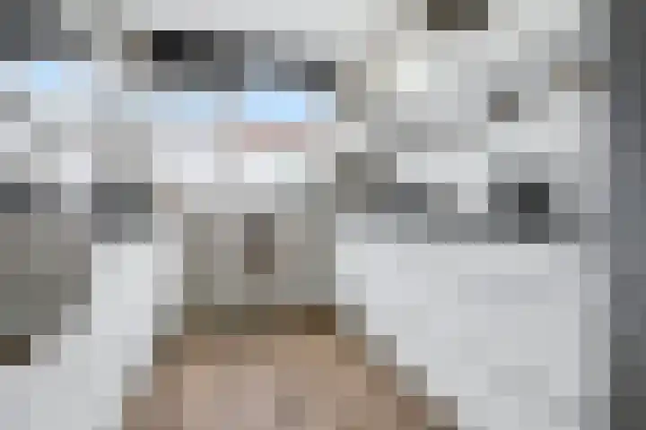 Arnemuidenhoek 44 Arnhem thumbnail 12
