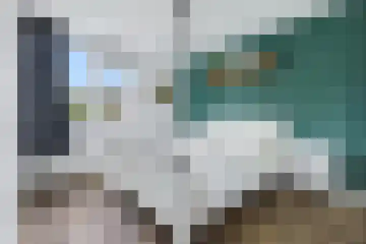 Arnemuidenhoek 44 Arnhem thumbnail 17