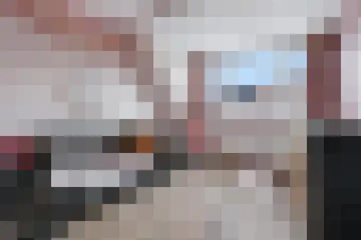 Arnemuidenhoek 44 Arnhem thumbnail 19