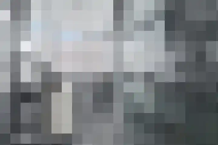 Arnemuidenhoek 44 Arnhem thumbnail 23