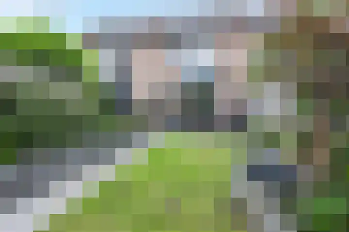 Arnemuidenhoek 44 Arnhem thumbnail 30