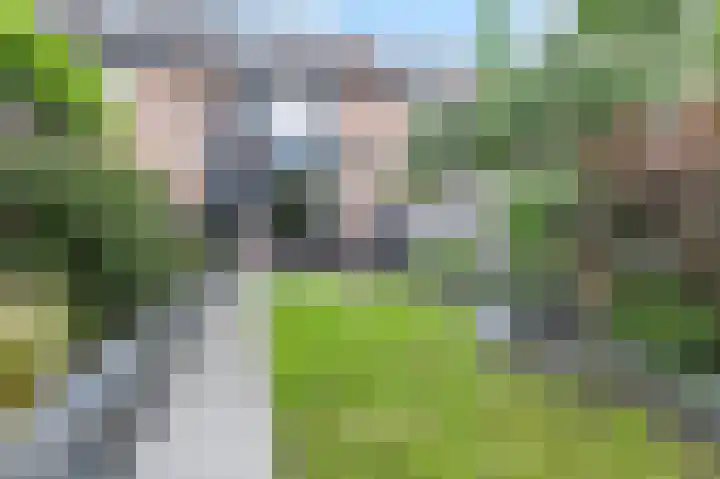 Arnemuidenhoek 44 Arnhem thumbnail 31