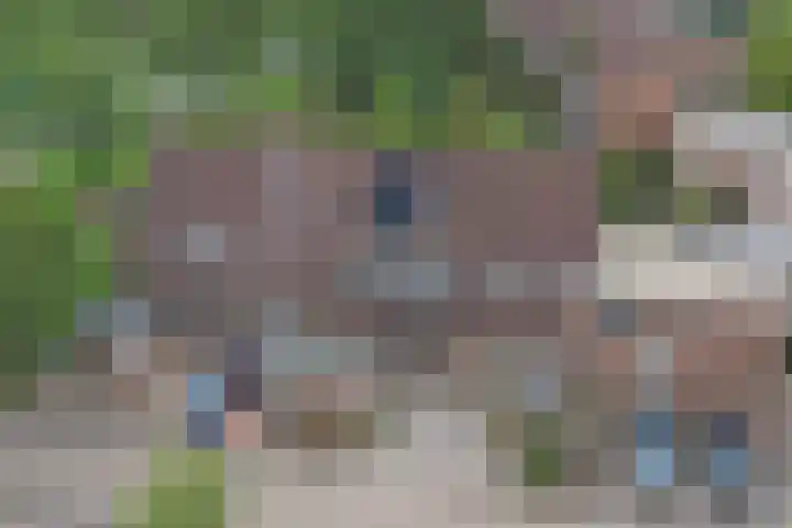 Arnemuidenhoek 44 Arnhem thumbnail 36