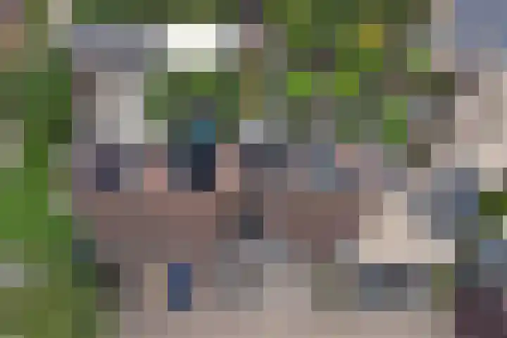 Arnemuidenhoek 44 Arnhem thumbnail 37