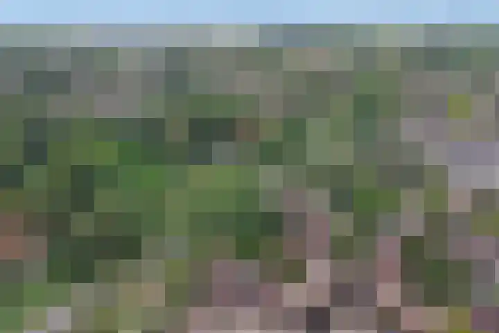 Arnemuidenhoek 44 Arnhem thumbnail 38