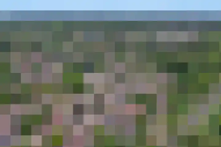 Arnemuidenhoek 44 Arnhem thumbnail 39