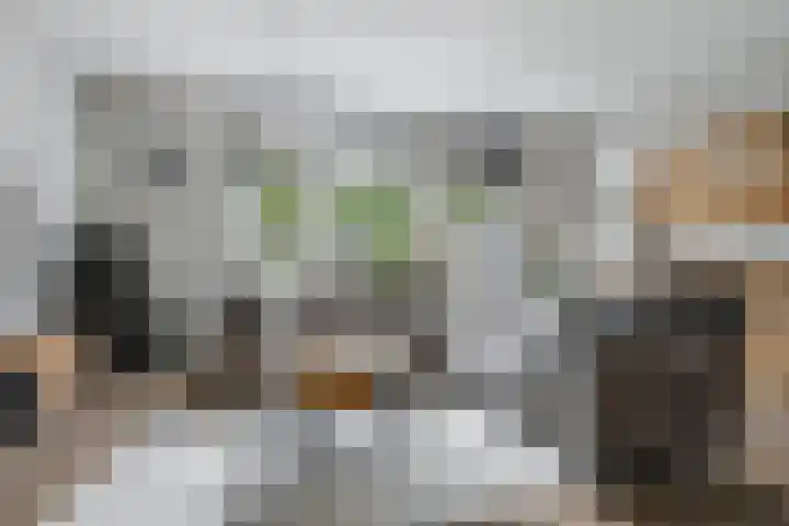 Arnemuidenhoek 44 Arnhem thumbnail 4