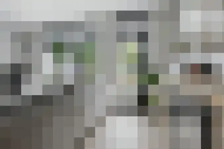 Arnemuidenhoek 44 Arnhem thumbnail 6