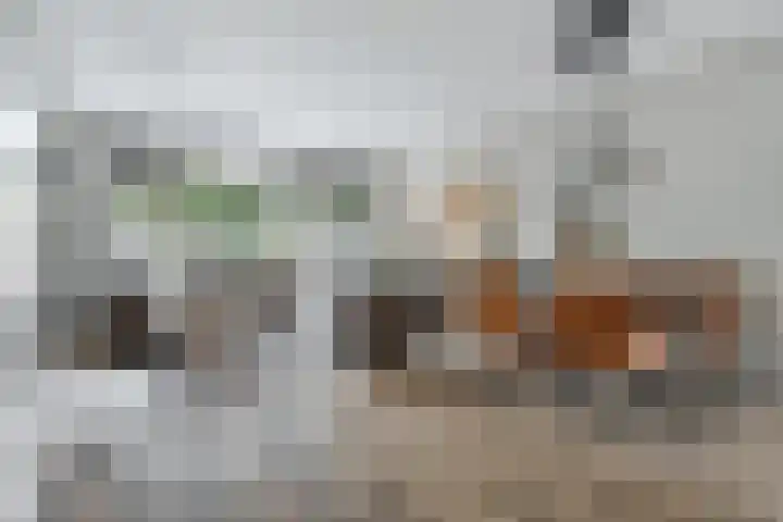 Arnemuidenhoek 44 Arnhem thumbnail 8