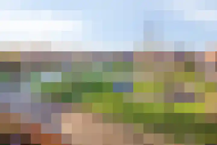 Arnhemplein 36 Almere thumbnail 5