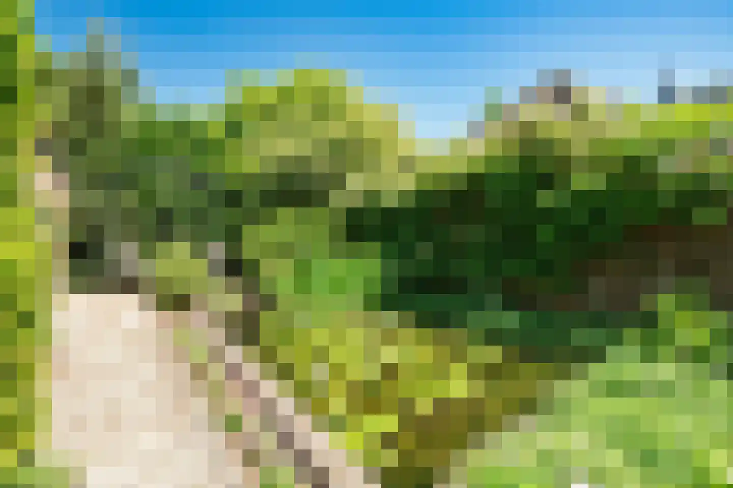 Arnhemse Bovenweg 11 Zeist thumbnail 16