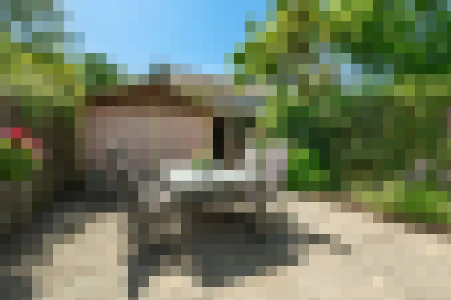 Arnhemse Bovenweg 11 Zeist thumbnail 17