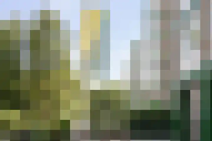 Arnhemse Bovenweg 12 101 in Zeist