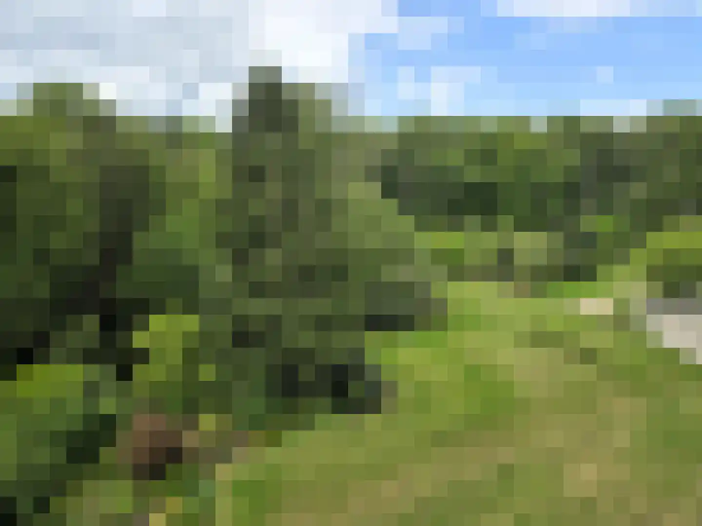 Arnhemse Bovenweg 12 101 Zeist thumbnail 22