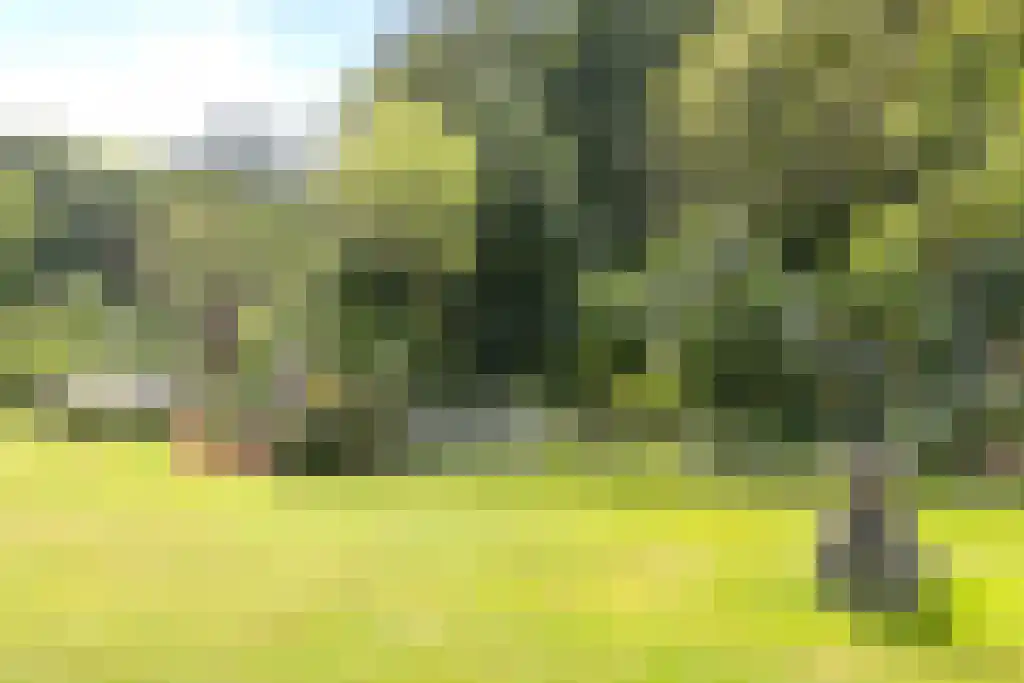 Arnhemse Bovenweg 12 2 Zeist thumbnail 32