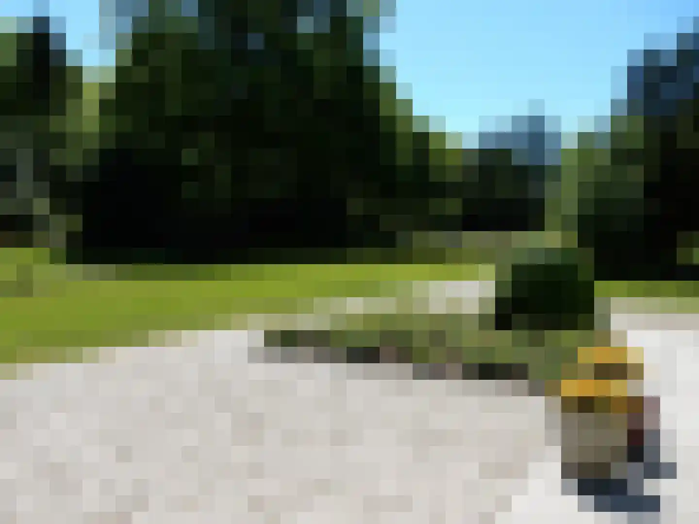 Arnhemse Bovenweg 12 2 Zeist thumbnail 4