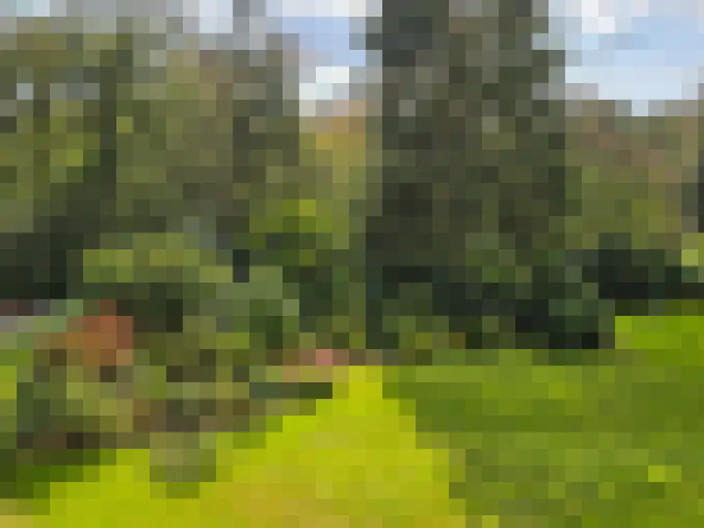 Arnhemse Bovenweg 12 21 Zeist thumbnail 22