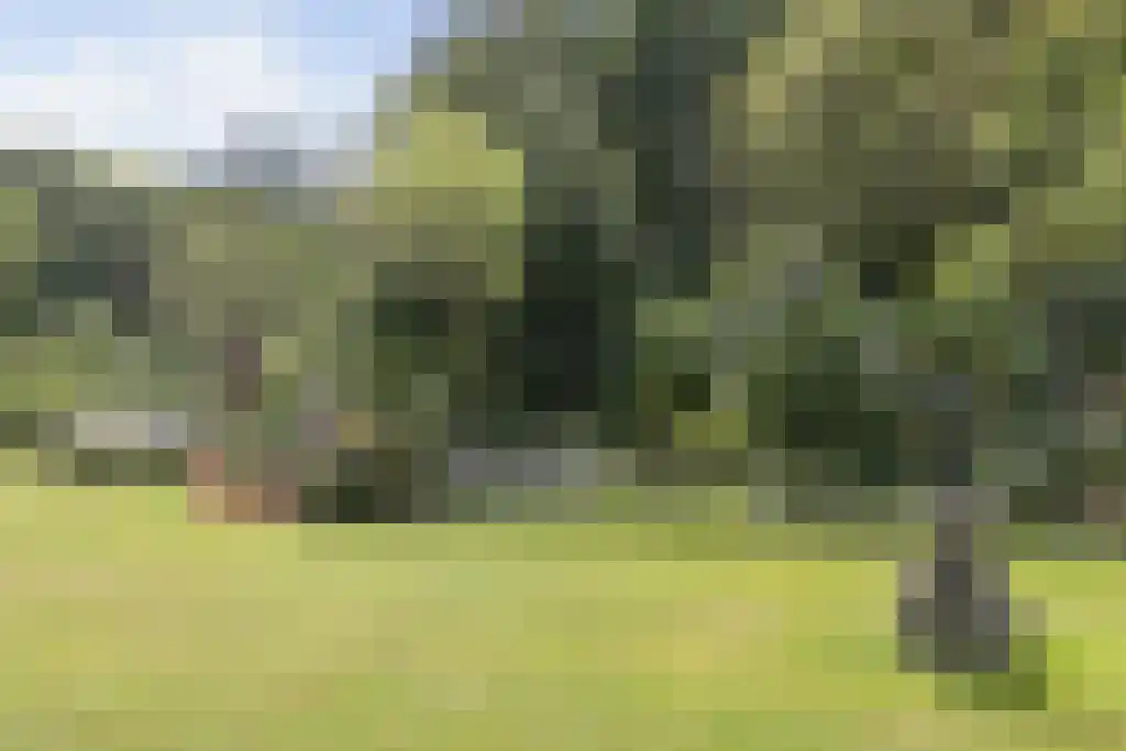 Arnhemse Bovenweg 12 21 Zeist thumbnail 36