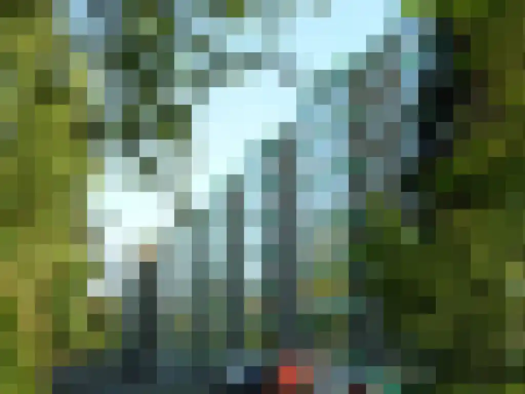 Arnhemse Bovenweg 12 21 Zeist thumbnail 4