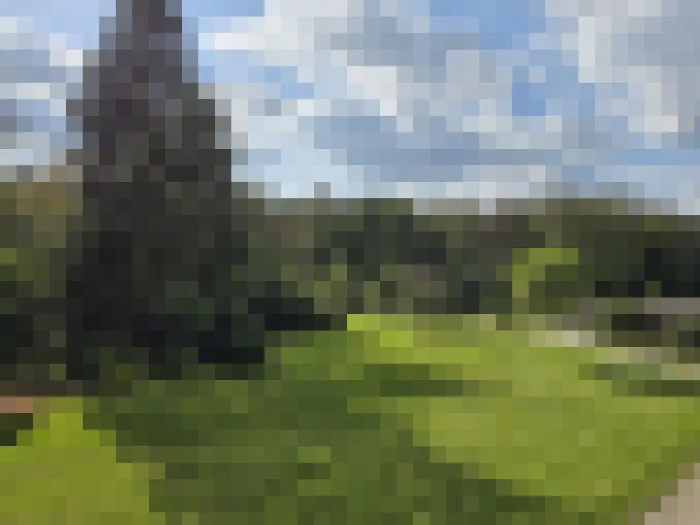 Arnhemse Bovenweg 12 21 Zeist thumbnail 5