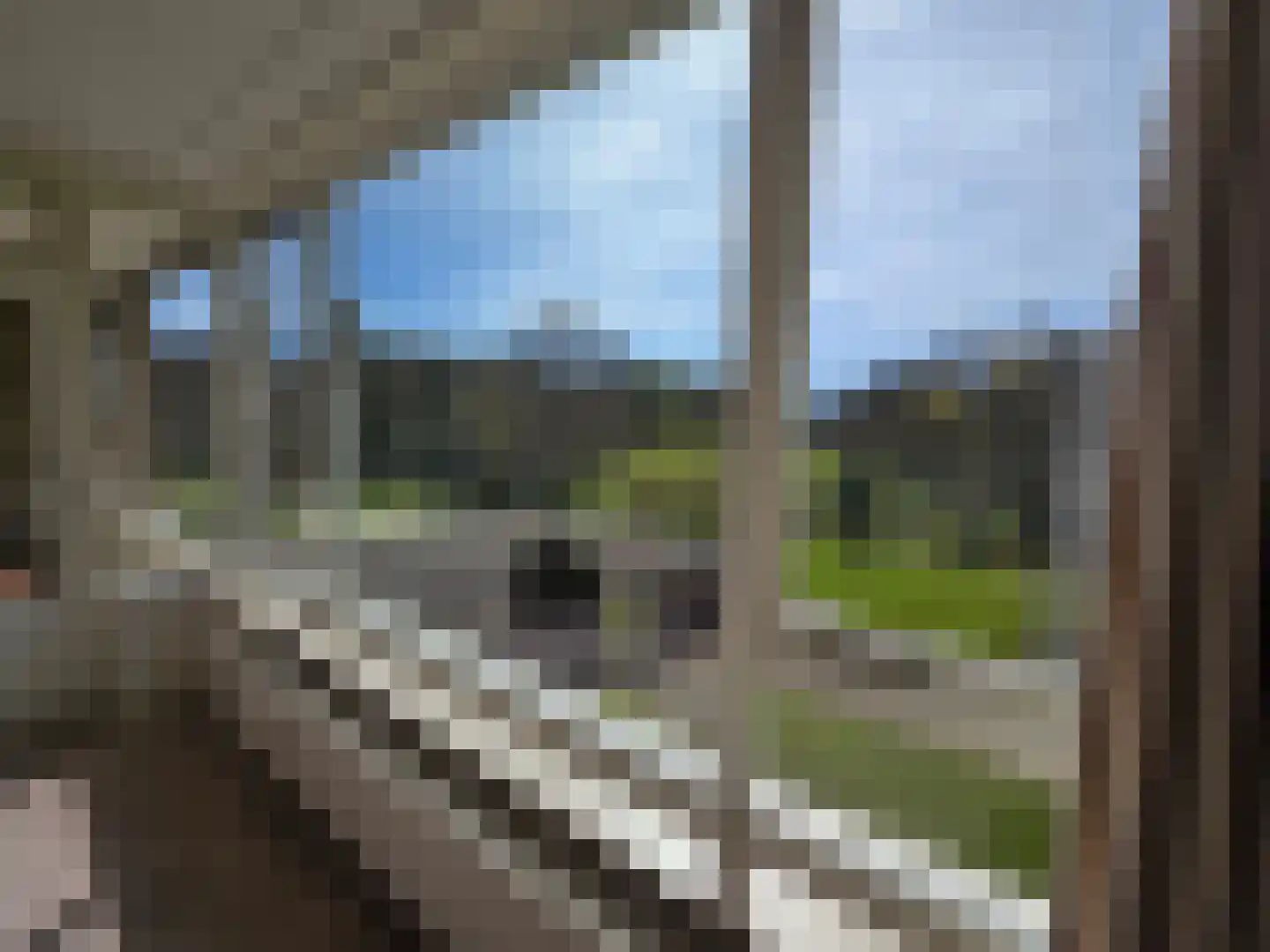 Arnhemse Bovenweg 12 47 Zeist thumbnail 18