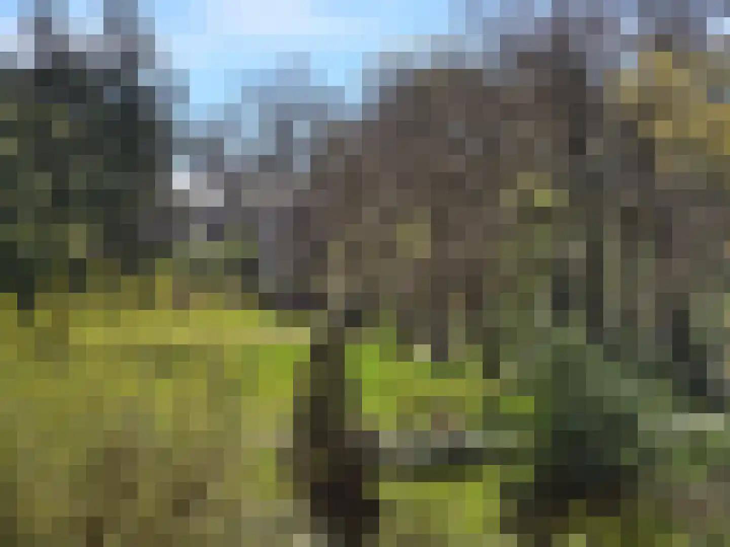 Arnhemse Bovenweg 12 47 Zeist thumbnail 5