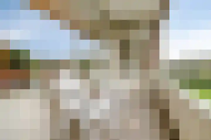 Arnhemse Bovenweg 12 52 Zeist thumbnail 10