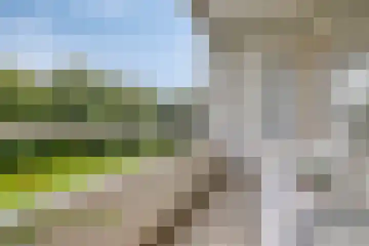 Arnhemse Bovenweg 12 52 Zeist thumbnail 11