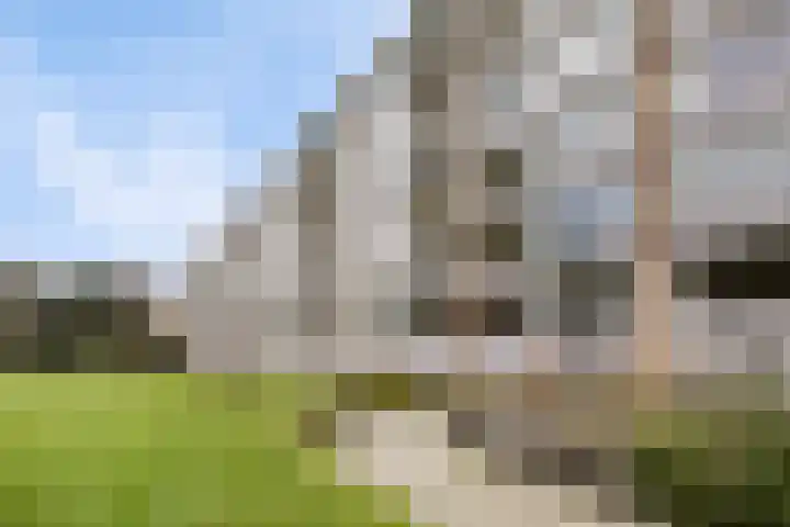 Arnhemse Bovenweg 12 52 Zeist thumbnail 19