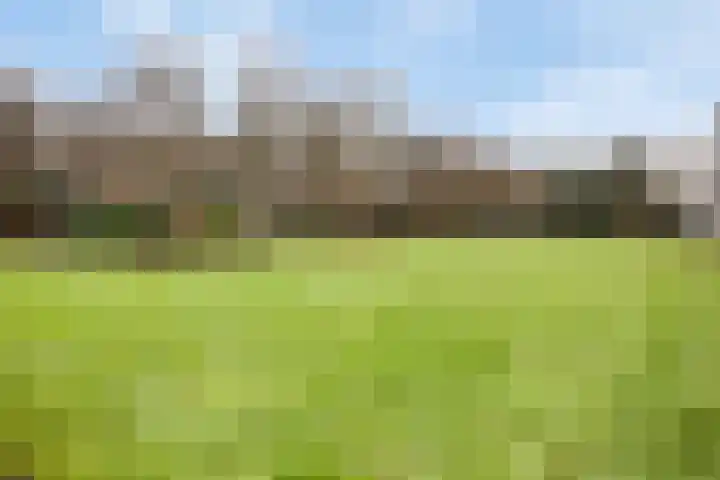 Arnhemse Bovenweg 12 52 Zeist thumbnail 20