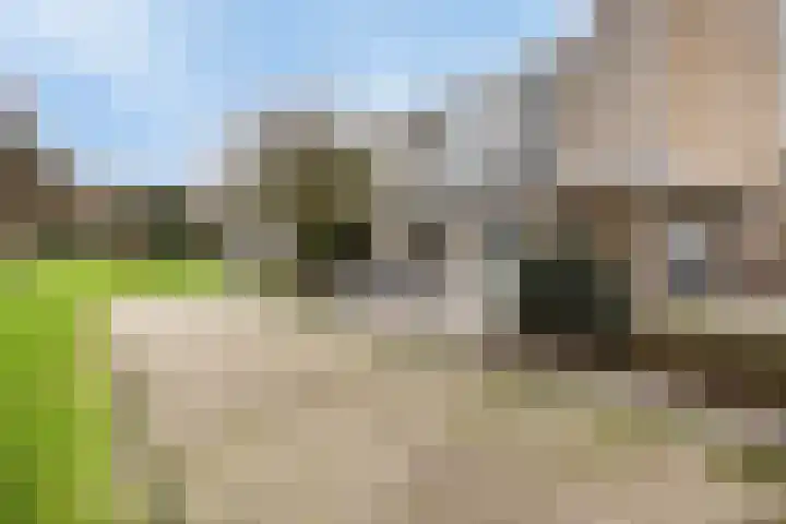 Arnhemse Bovenweg 12 52 Zeist thumbnail 22
