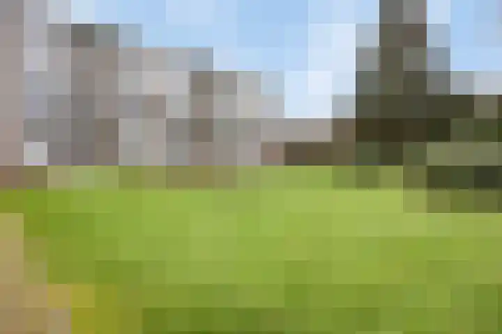 Arnhemse Bovenweg 12 52 Zeist thumbnail 23