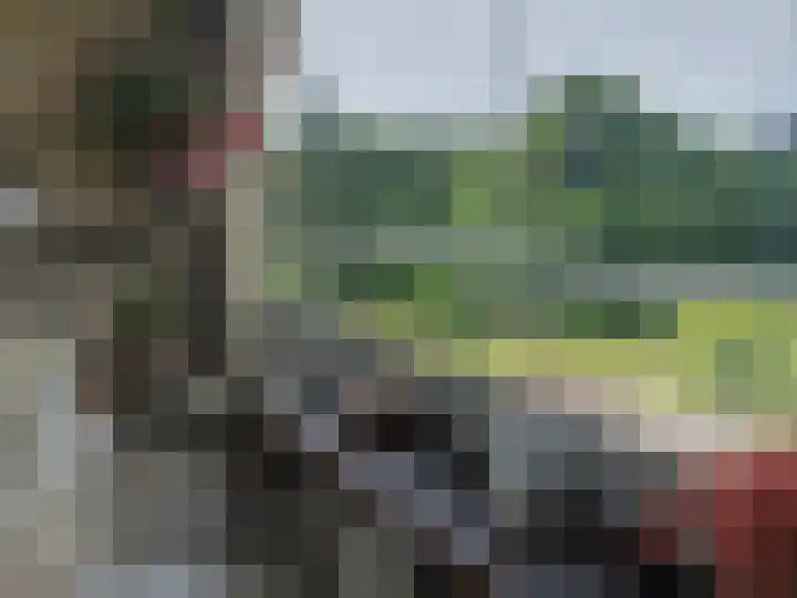 Arnhemse Bovenweg 12 67 Zeist thumbnail 11