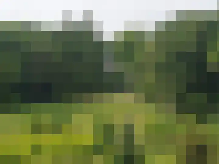 Arnhemse Bovenweg 12 67 Zeist thumbnail 12