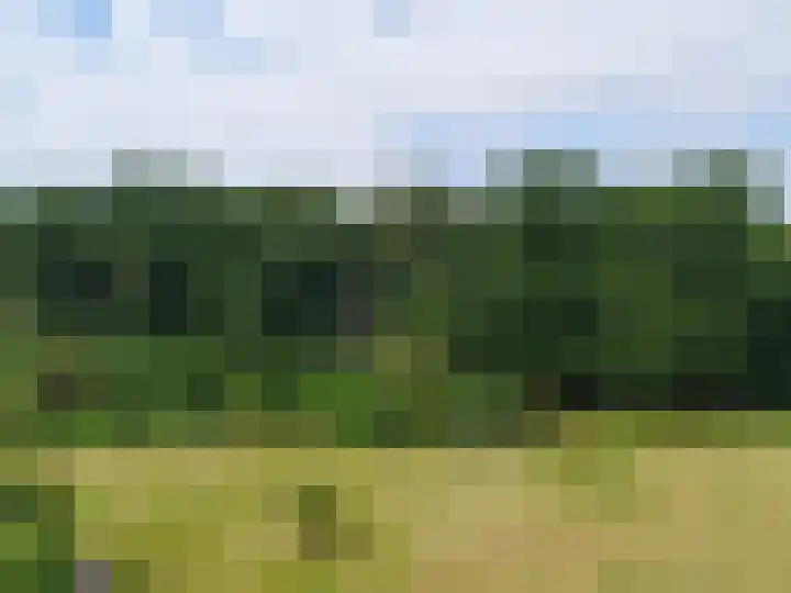 Arnhemse Bovenweg 12 67 Zeist thumbnail 13