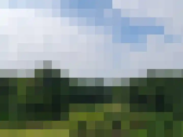 Arnhemse Bovenweg 12 67 Zeist thumbnail 14