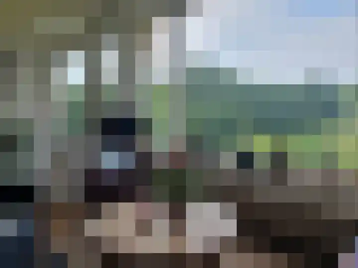 Arnhemse Bovenweg 12 67 Zeist thumbnail 25