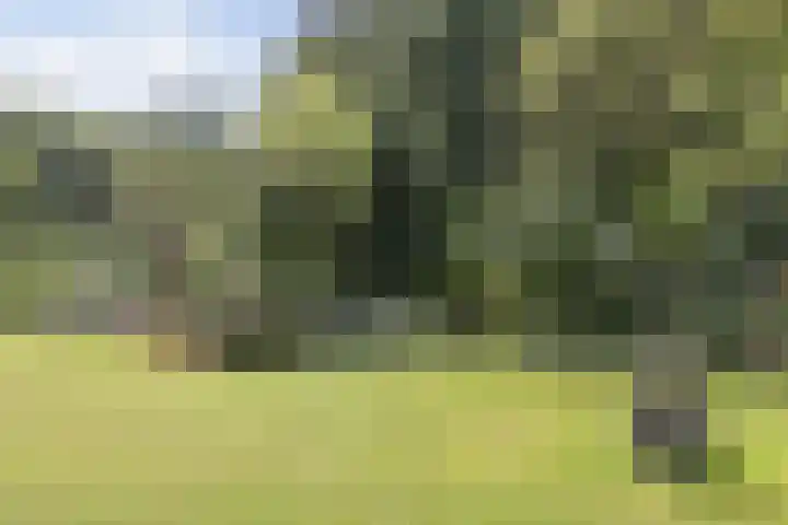 Arnhemse Bovenweg 12 67 Zeist thumbnail 45