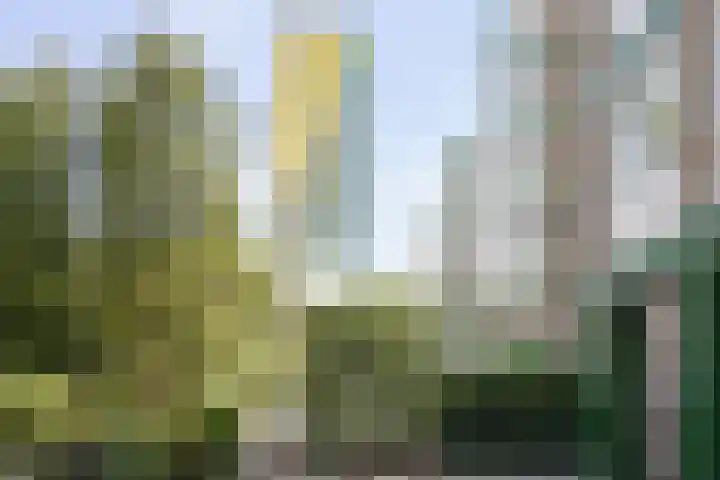 Arnhemse Bovenweg 12 67 Zeist thumbnail 47
