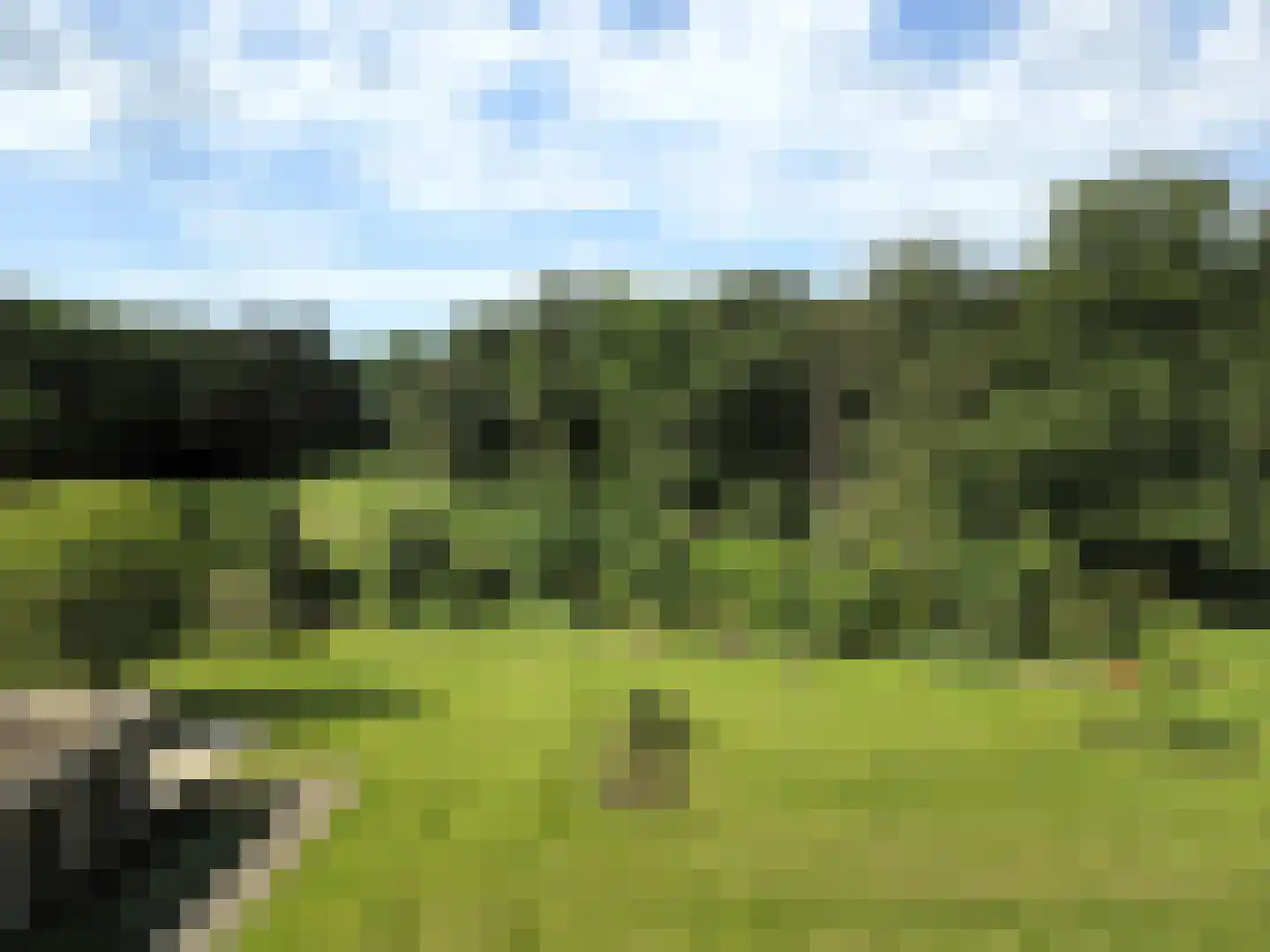Arnhemse Bovenweg 12 68 Zeist thumbnail 12