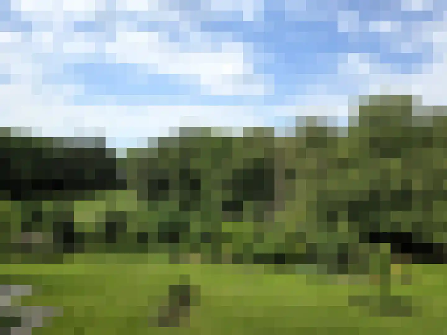 Arnhemse Bovenweg 12 68 Zeist thumbnail 4