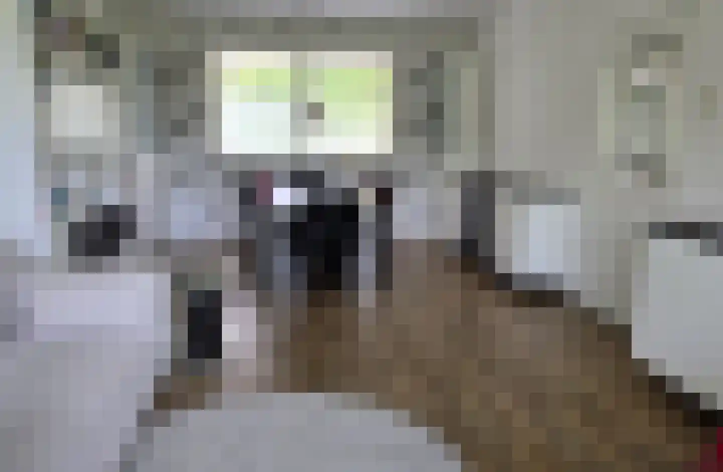 Arnhemse Bovenweg 12 68 Zeist thumbnail 6