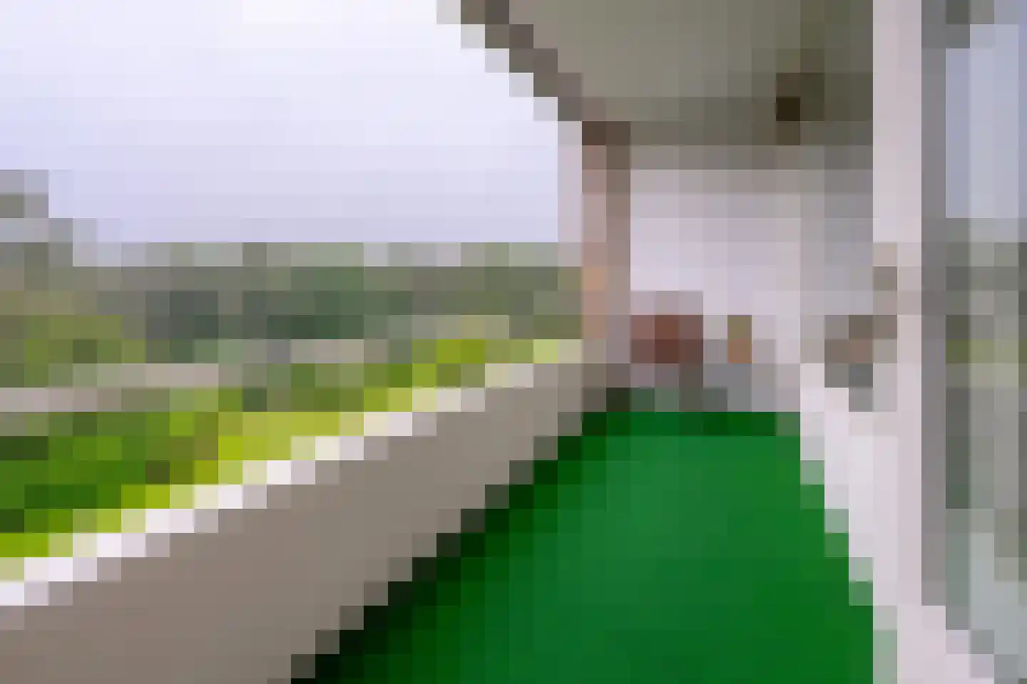 Arnhemse Bovenweg 12 82 Zeist thumbnail 17