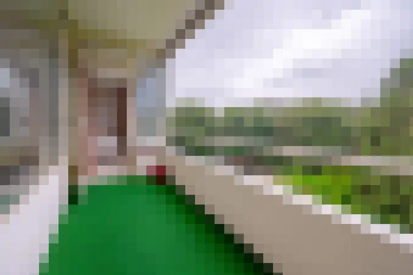 Arnhemse Bovenweg 12 82 Zeist thumbnail 18